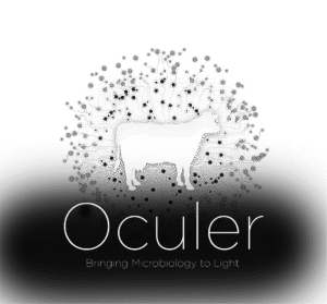 Oculer logo – Original brand identity for Irish biotech company offering rapid microbiology testing systems, designed by GHQ Design in 2010.